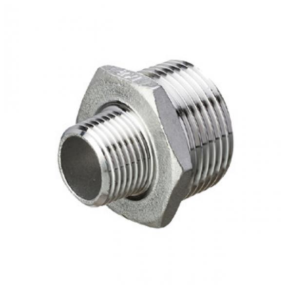 Rostfri och Syrafast Sexkantnippel Förminskning