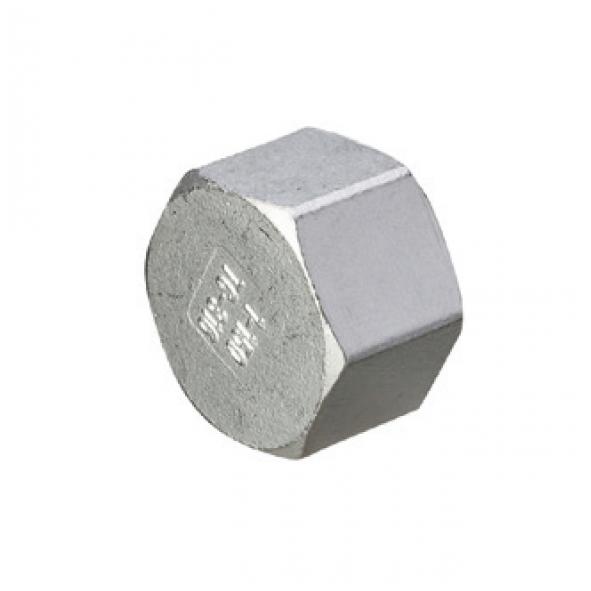 Rostfri och Syrafast Sexkanthuv